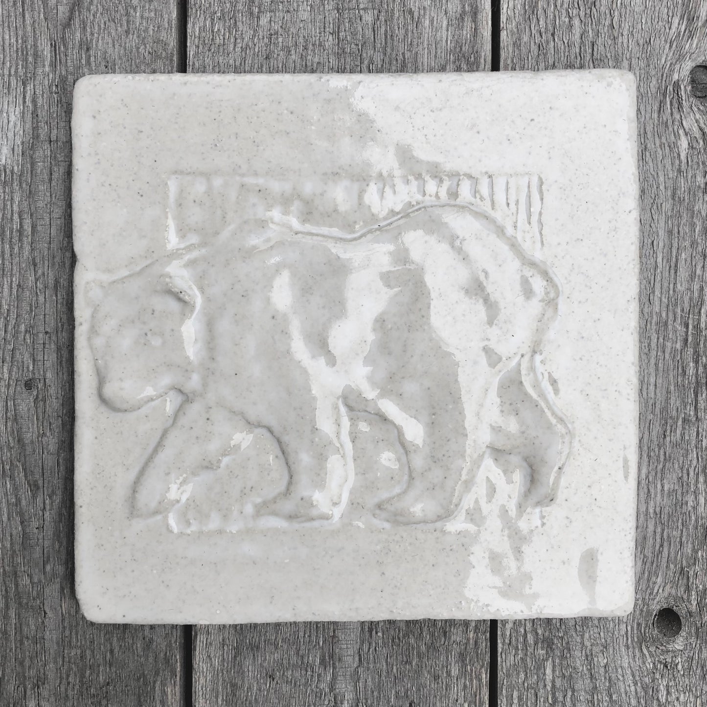6”x 6” The Summer Bear