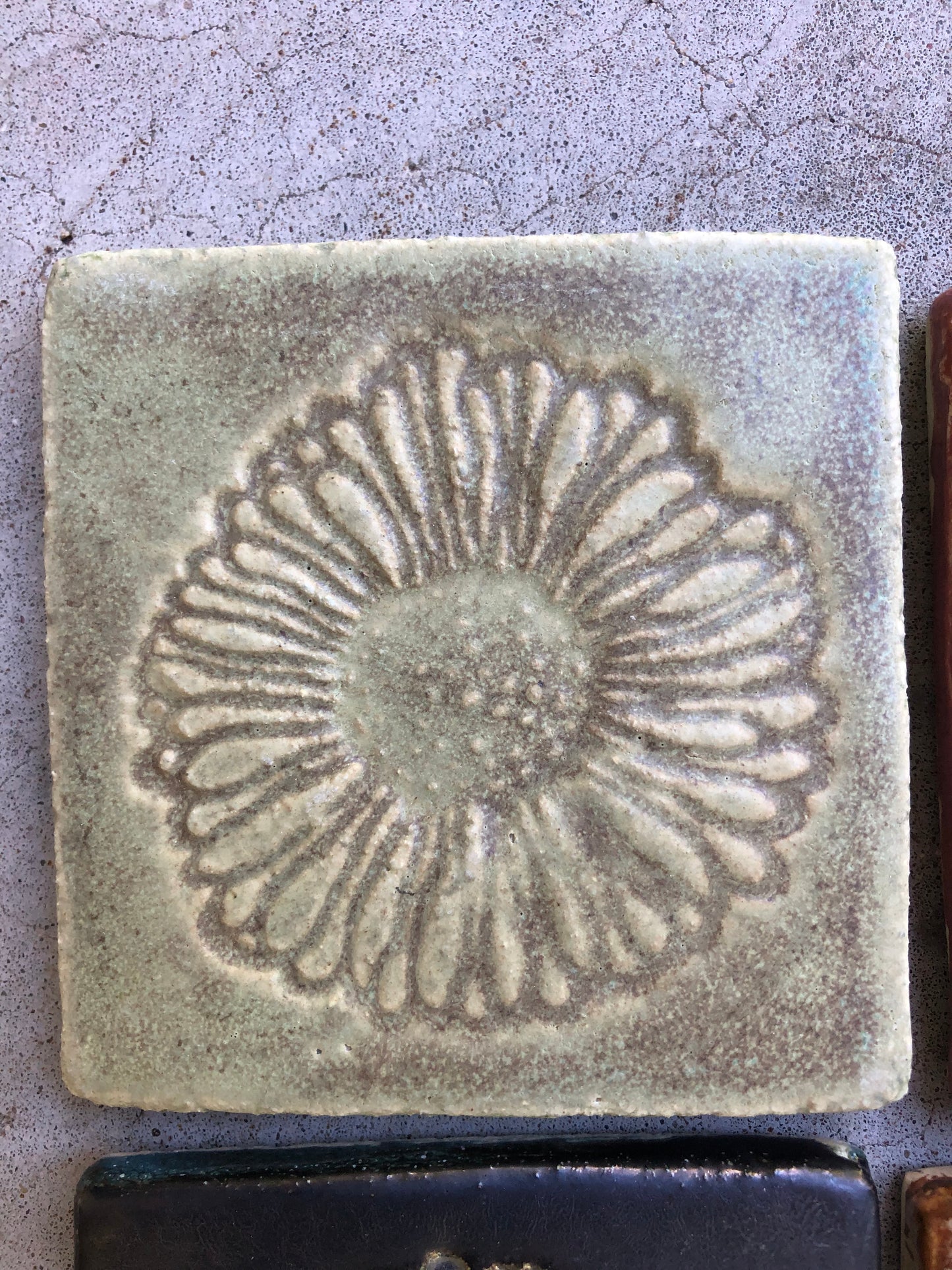 3"x 3" Cone Flower