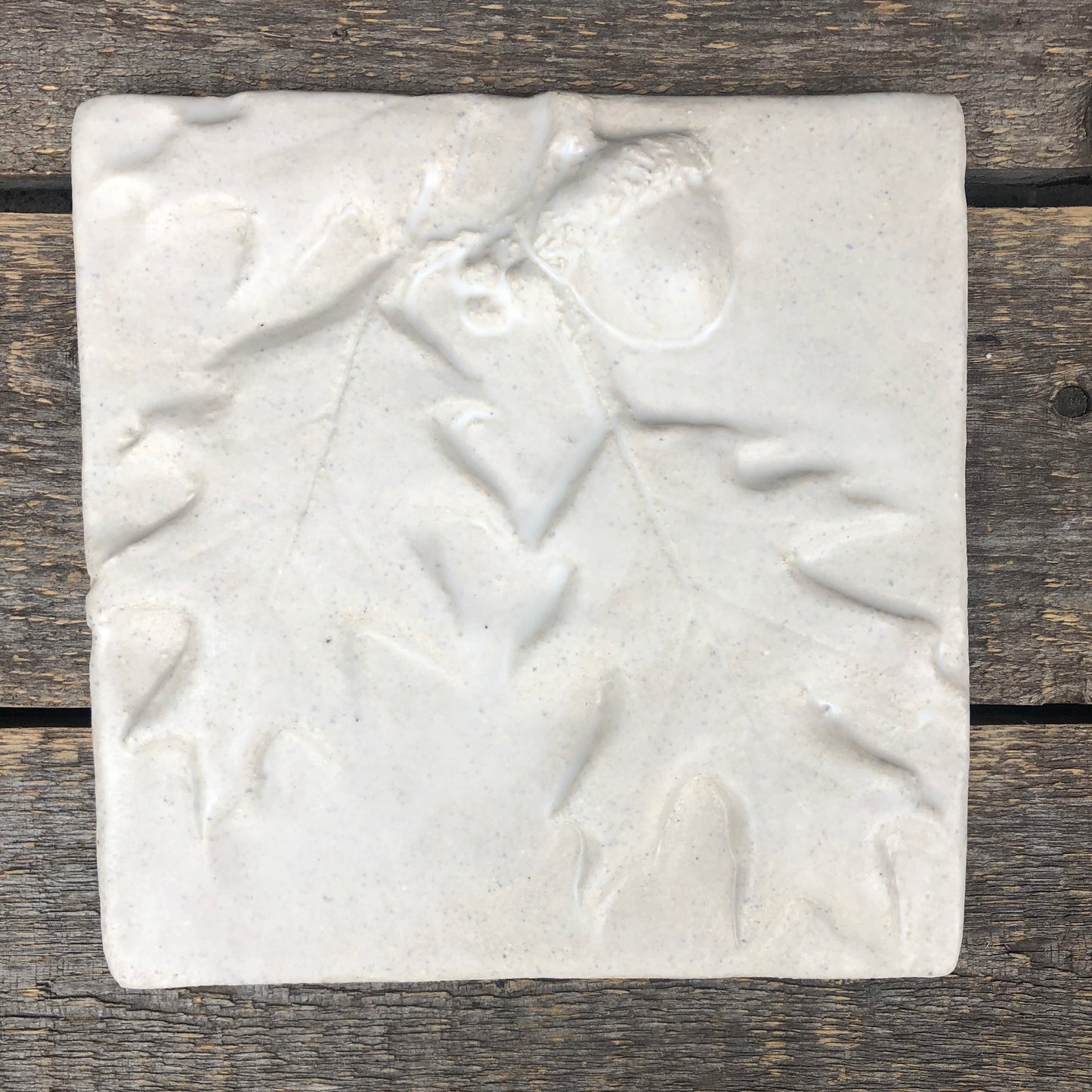 6"x 6" Pin Oak and Acorn