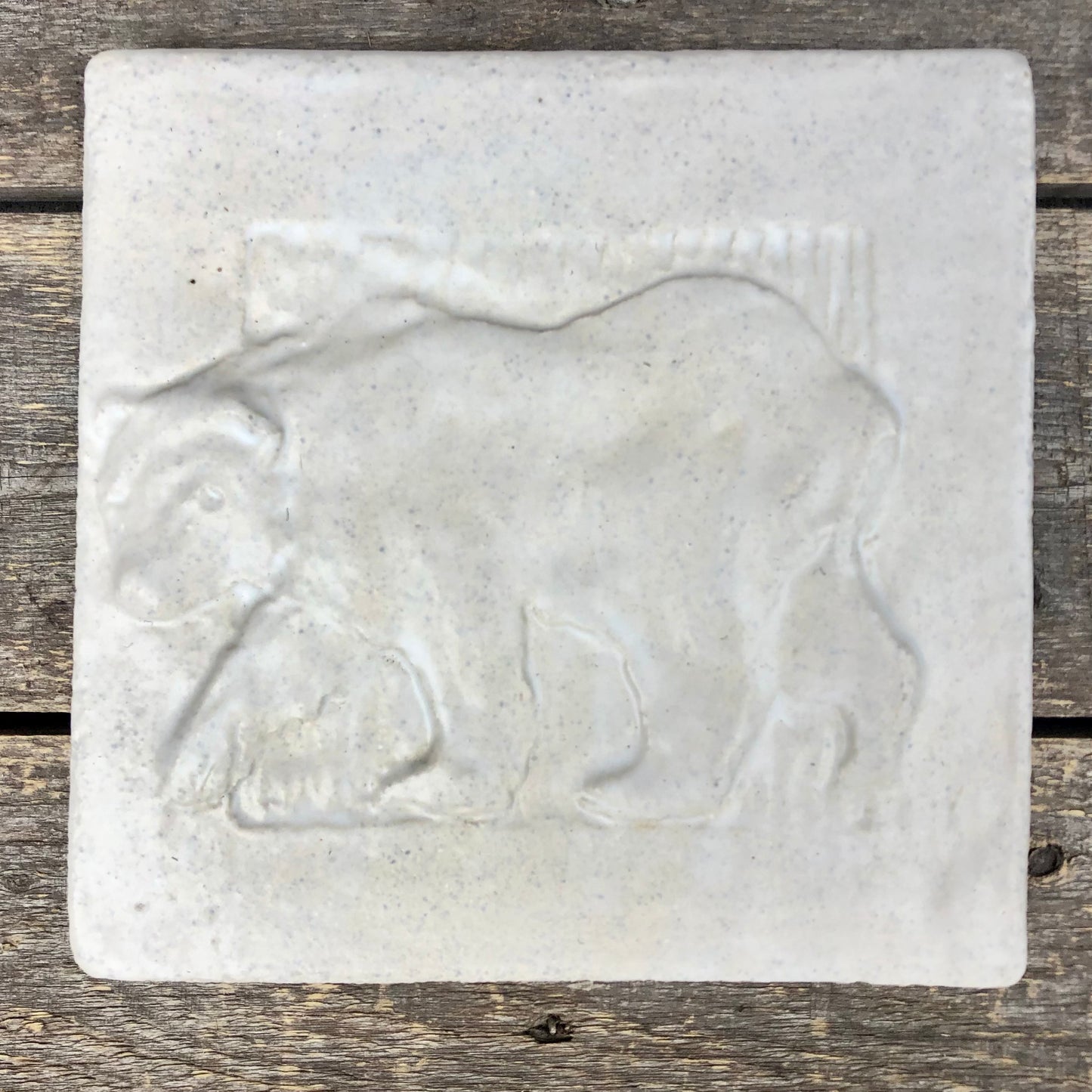 6”x 6” The Summer Bear