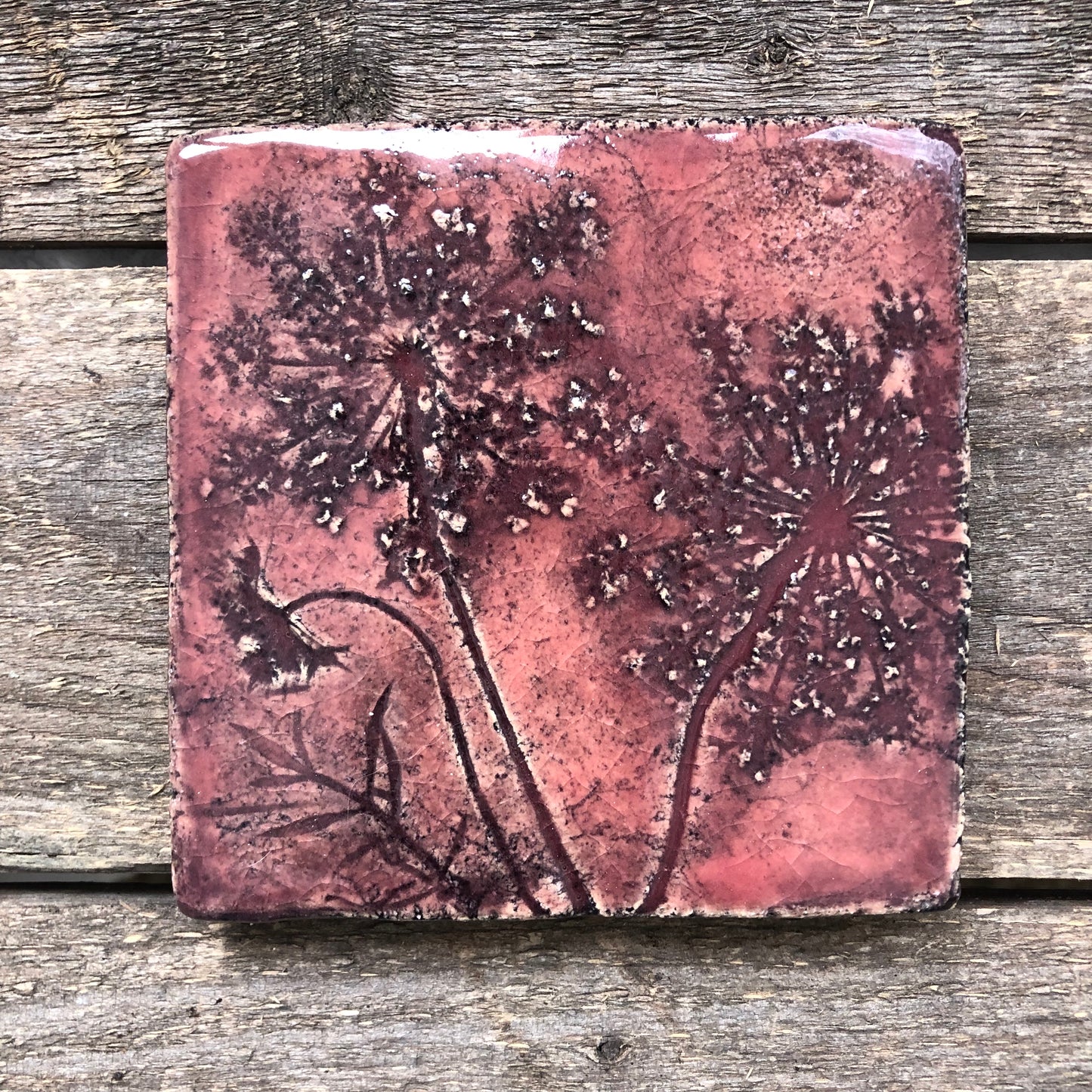 4”x 4” Queen Anne’s Lace