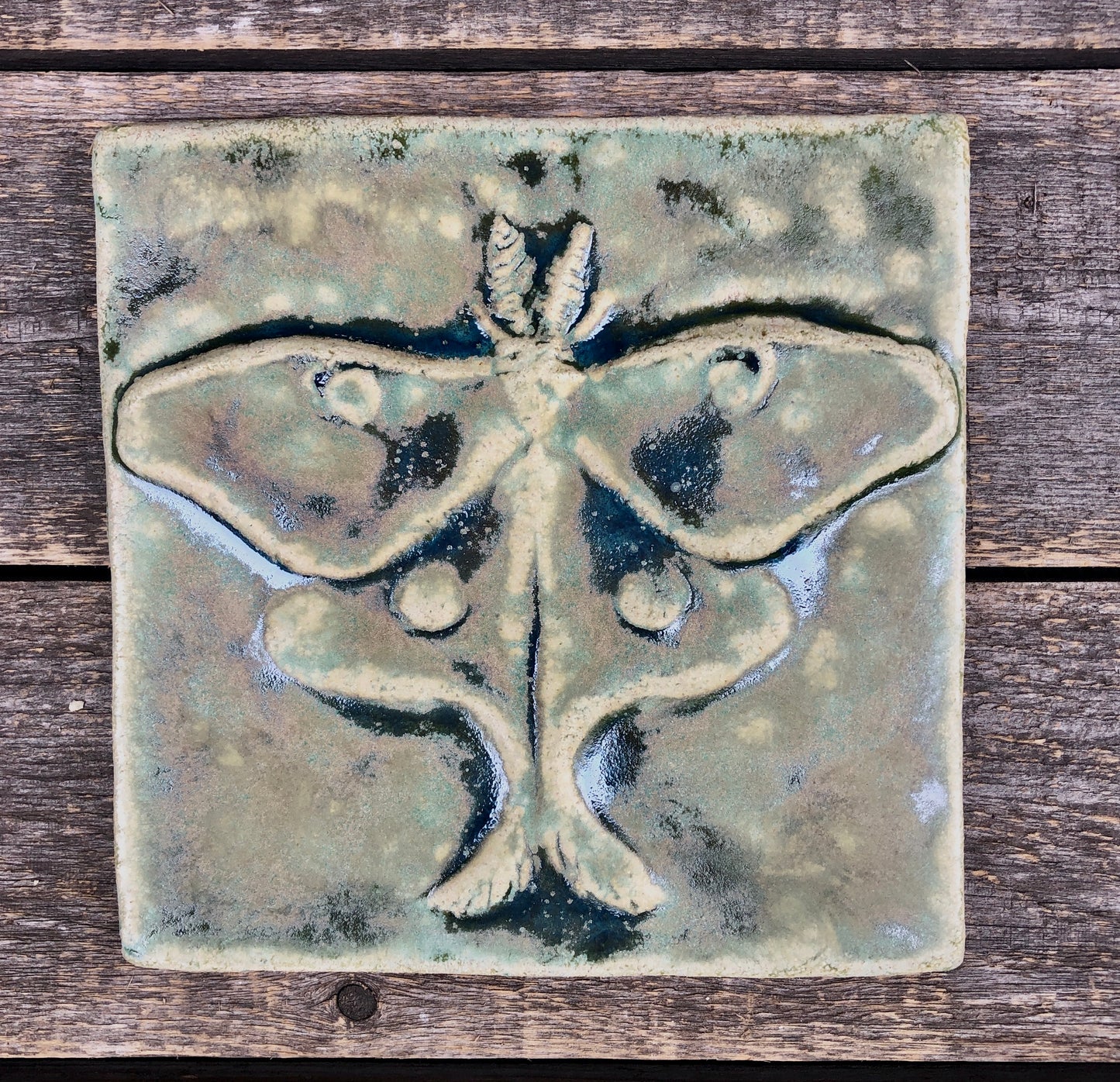 6”x6” Luna Moth