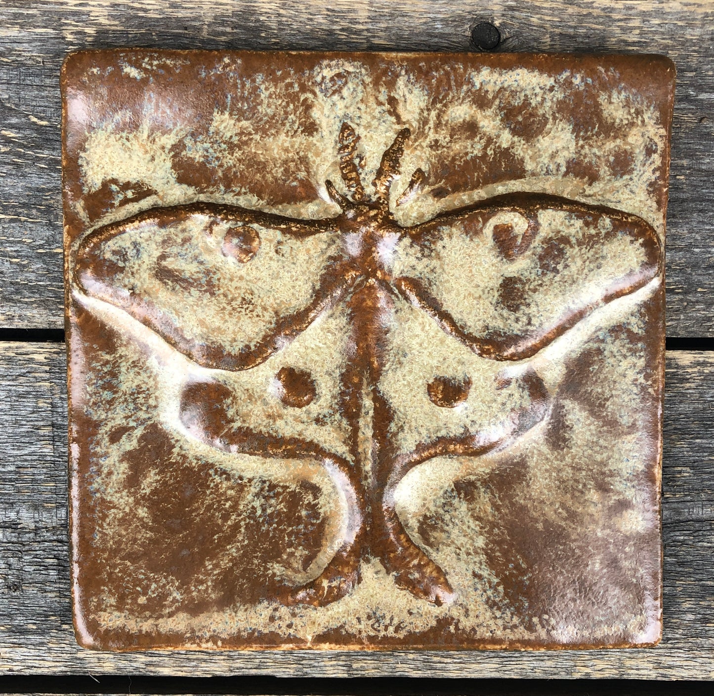 6”x6” Luna Moth