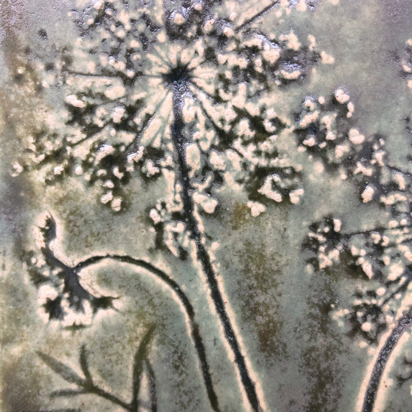 4”x 4” Queen Anne’s Lace