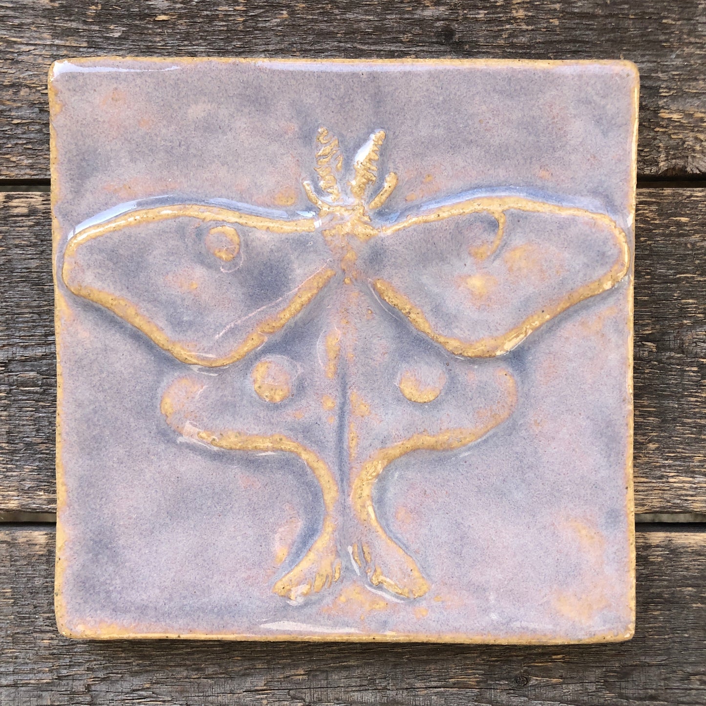 6”x6” Luna Moth