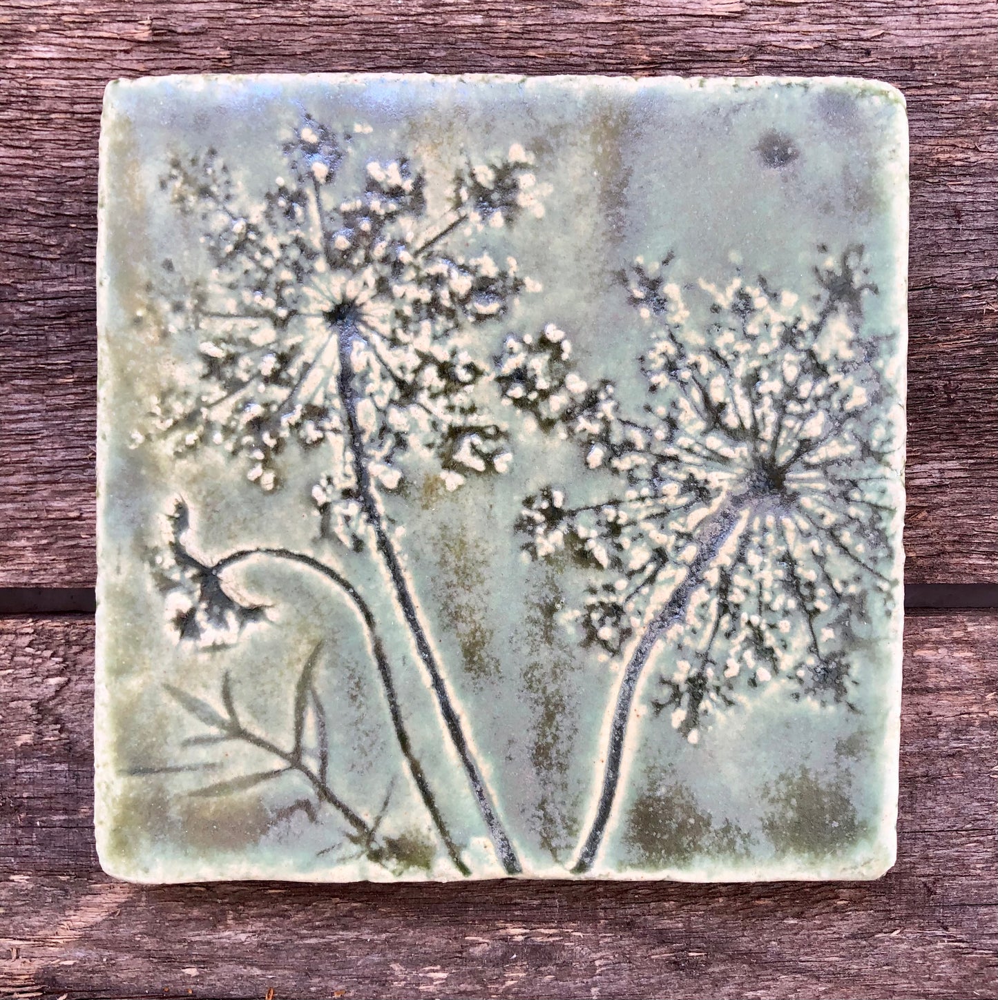 4”x 4” Queen Anne’s Lace