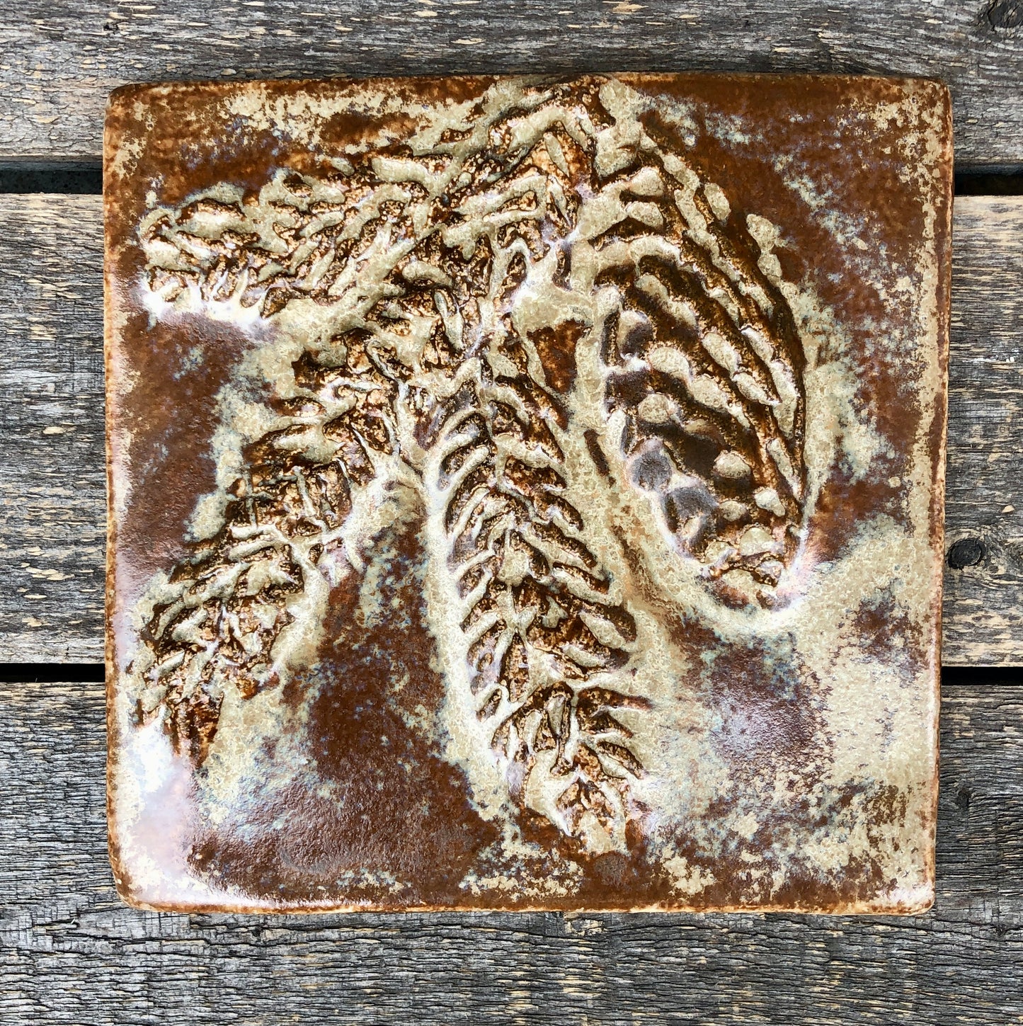6”x 6” Pine and Cone