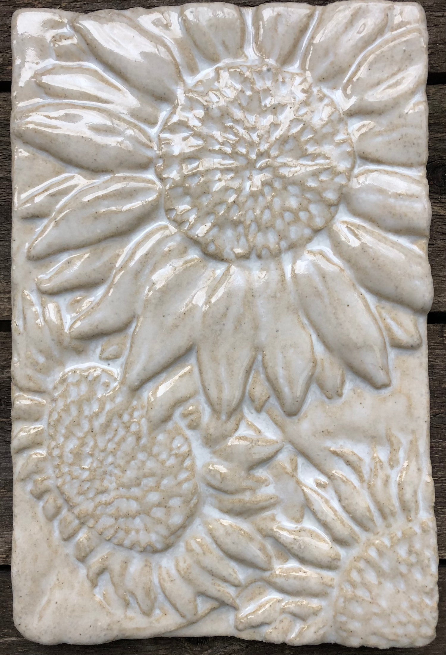 Pictured in "Beach Shallows"