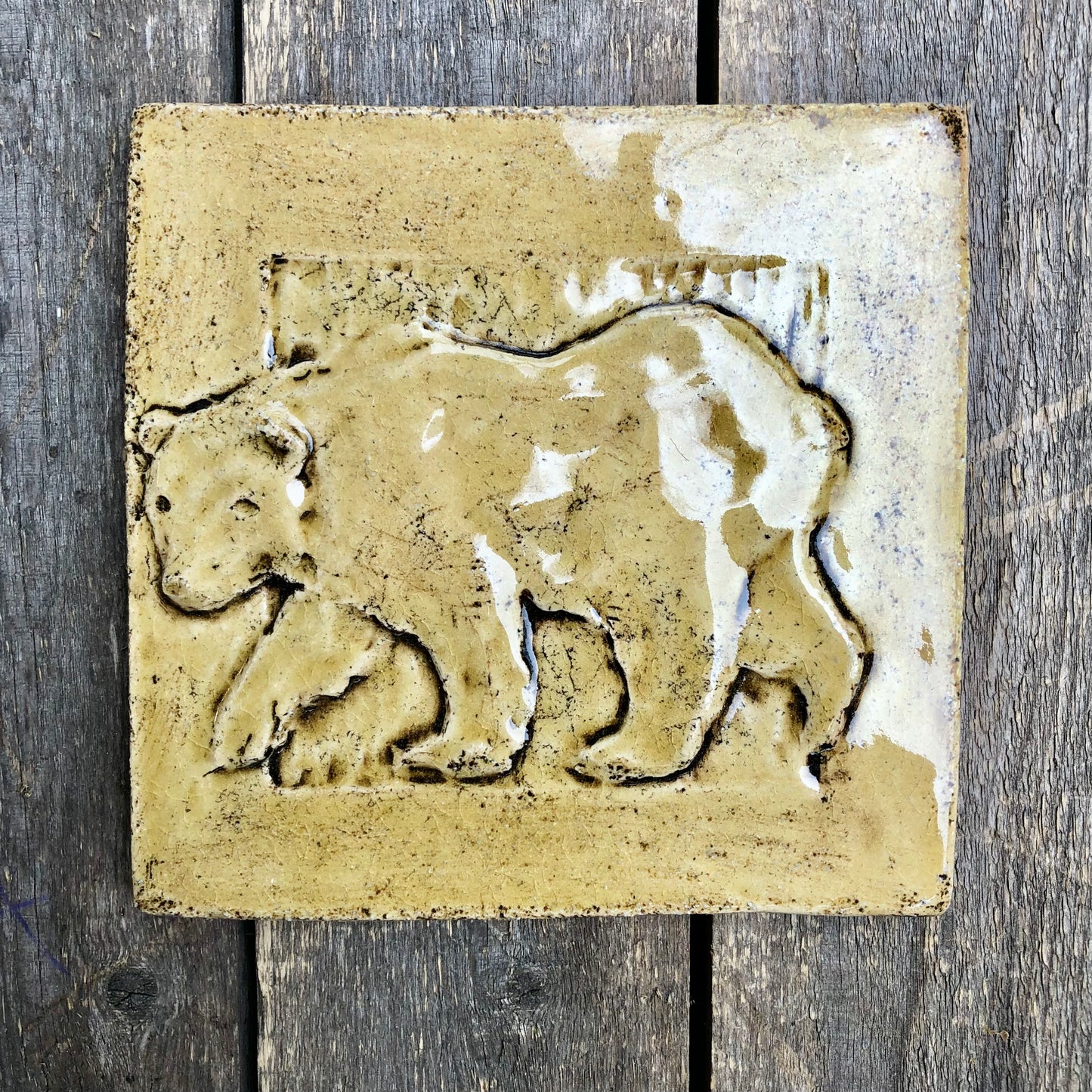 6”x 6” The Summer Bear