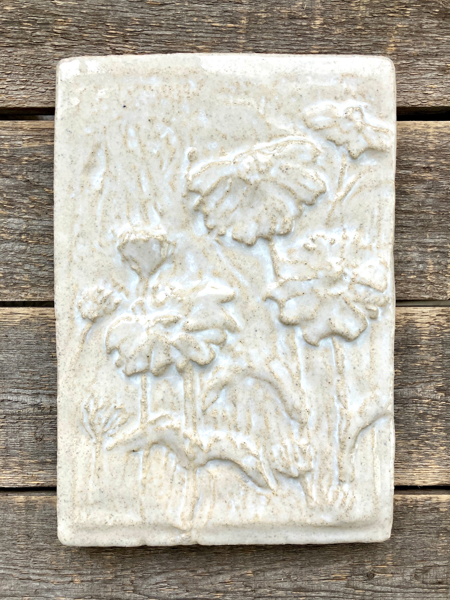 6”x 9” Daisy Field