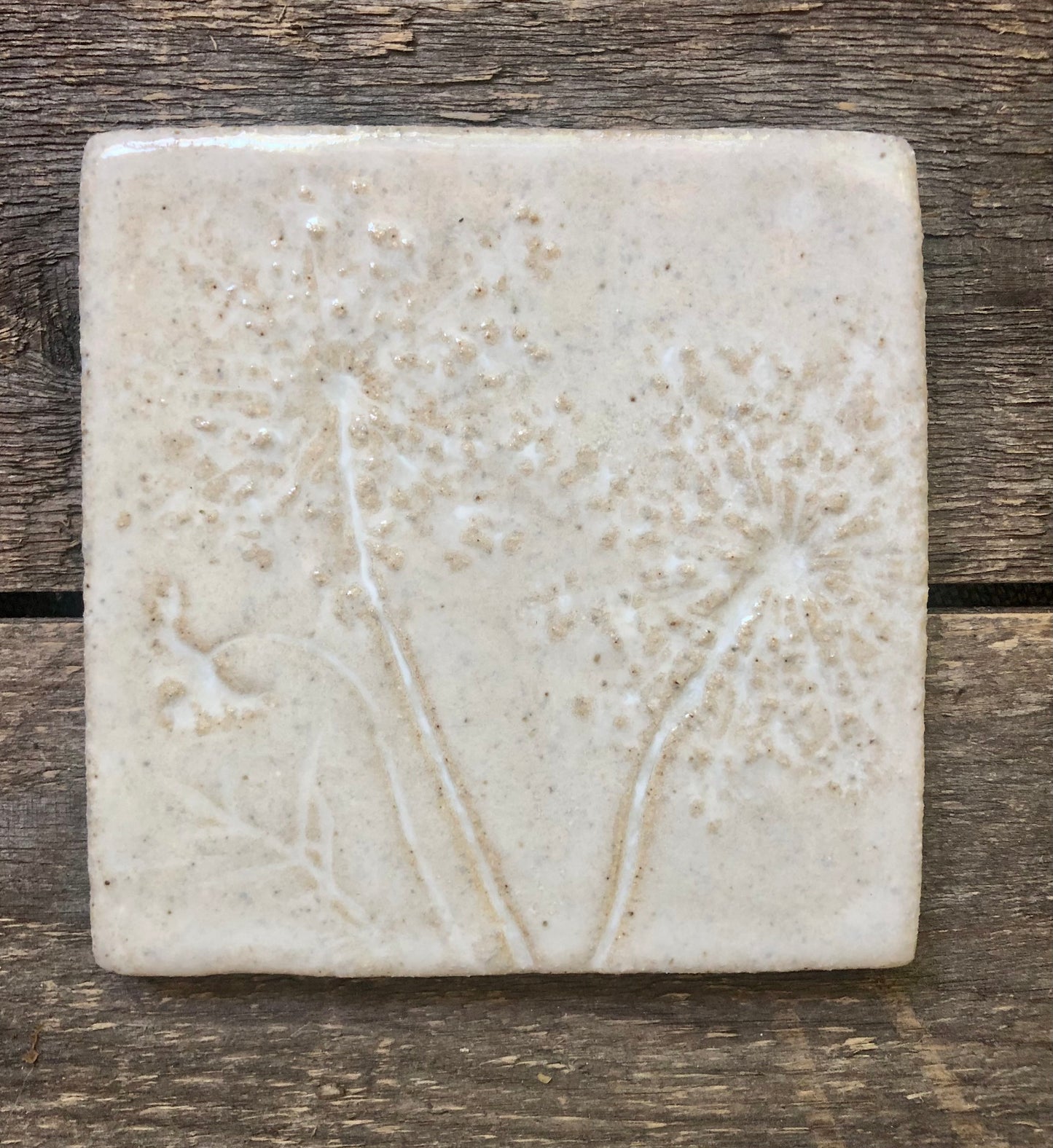4”x 4” Queen Anne’s Lace