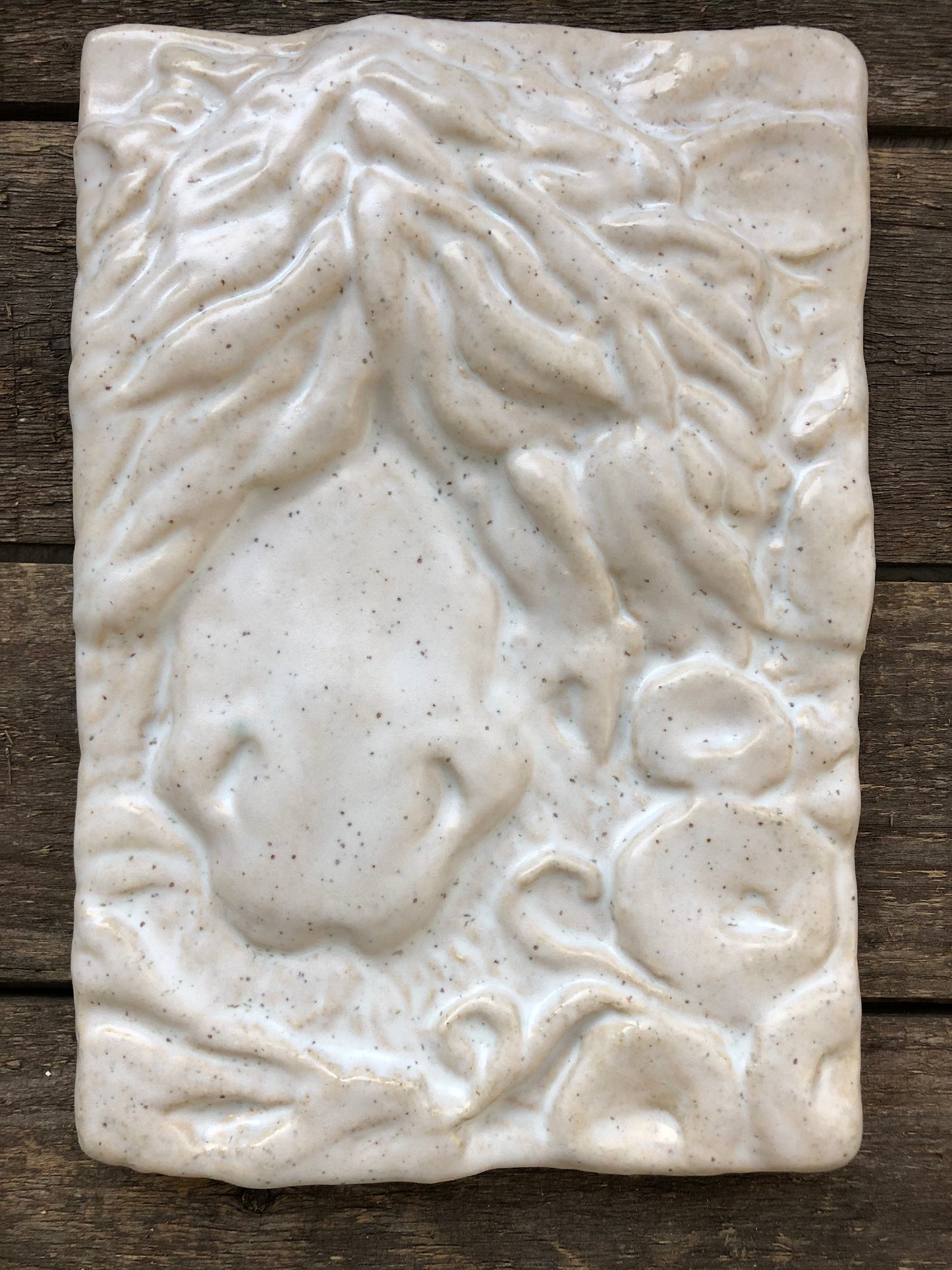 Spotted Pony Sheen Glaze Sample