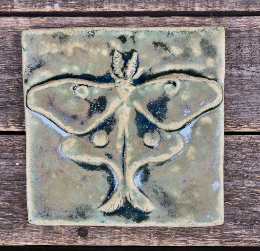 6”x6” Luna Moth