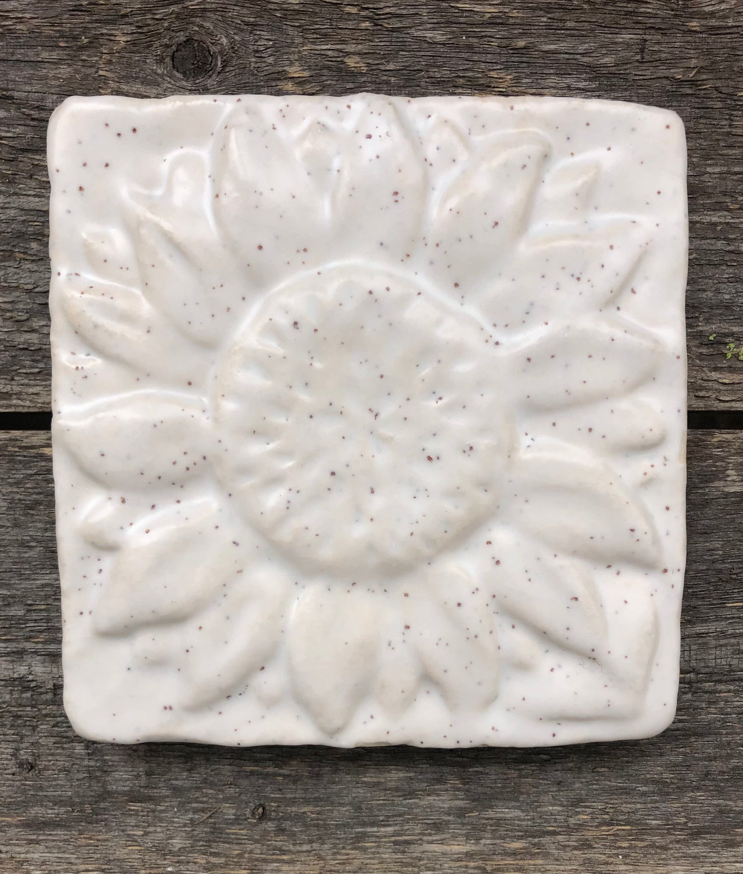 Spotted Pony Sheen Glaze Sample