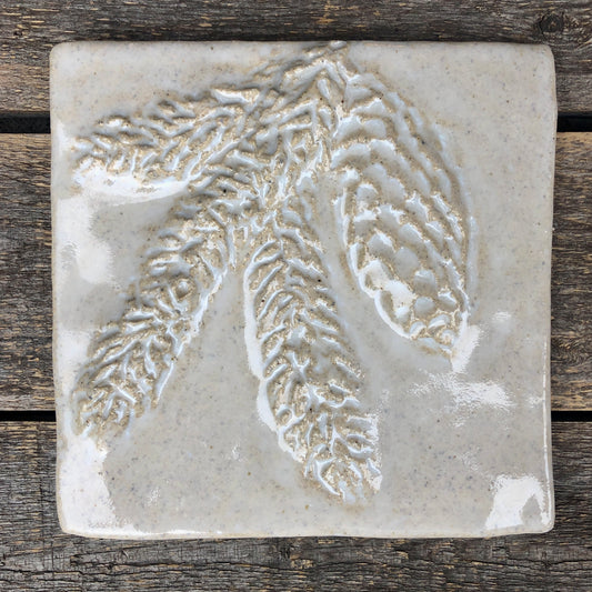 6”x 6” Pine and Cone