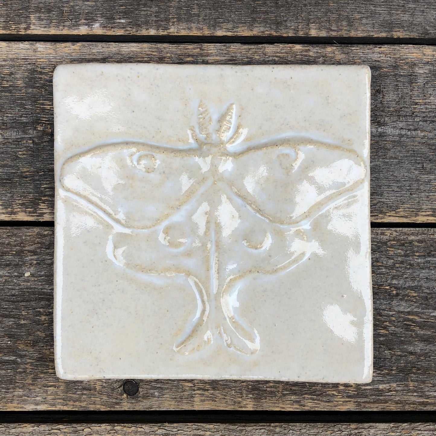 6”x6” Luna Moth