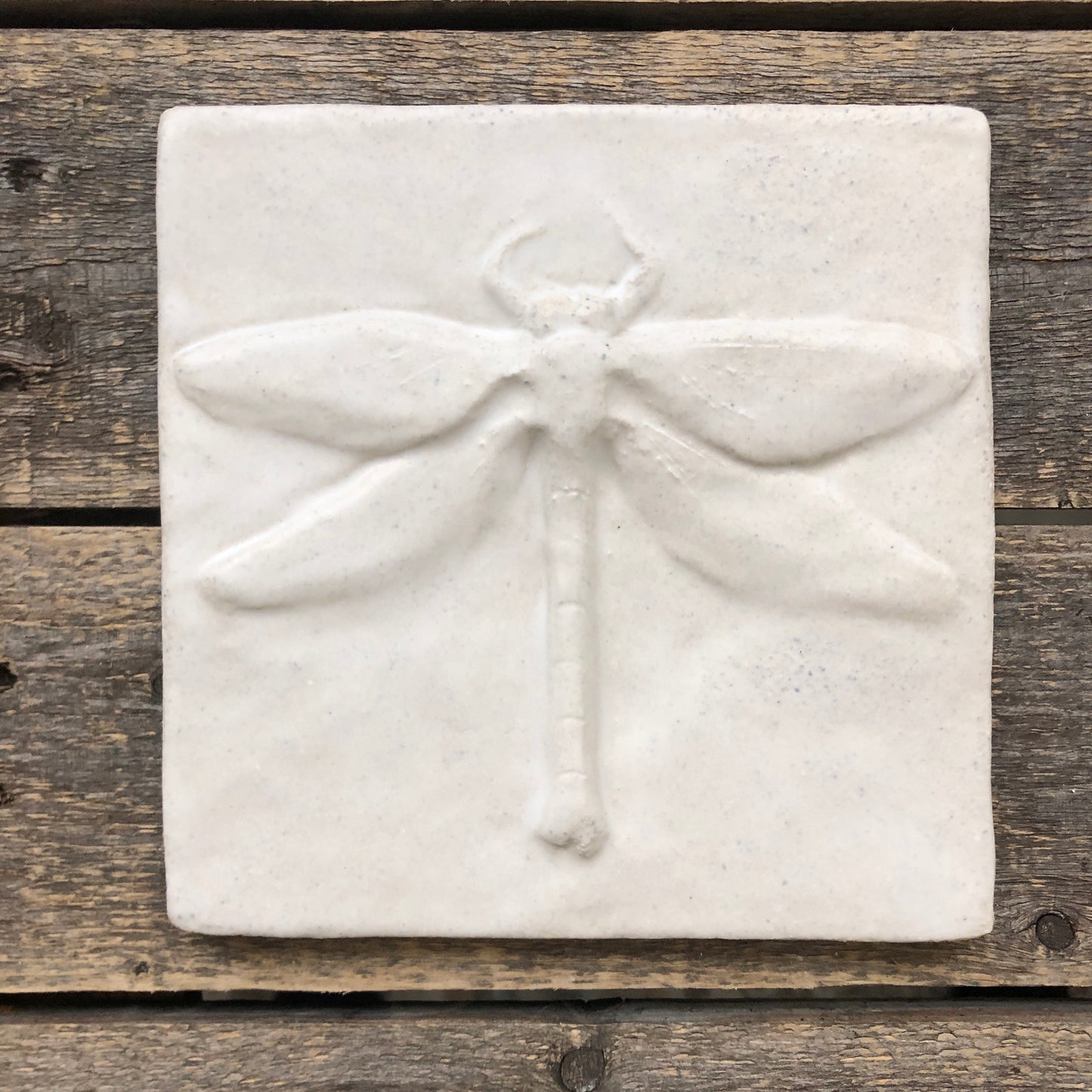 6”x 6” Dragonfly vertical