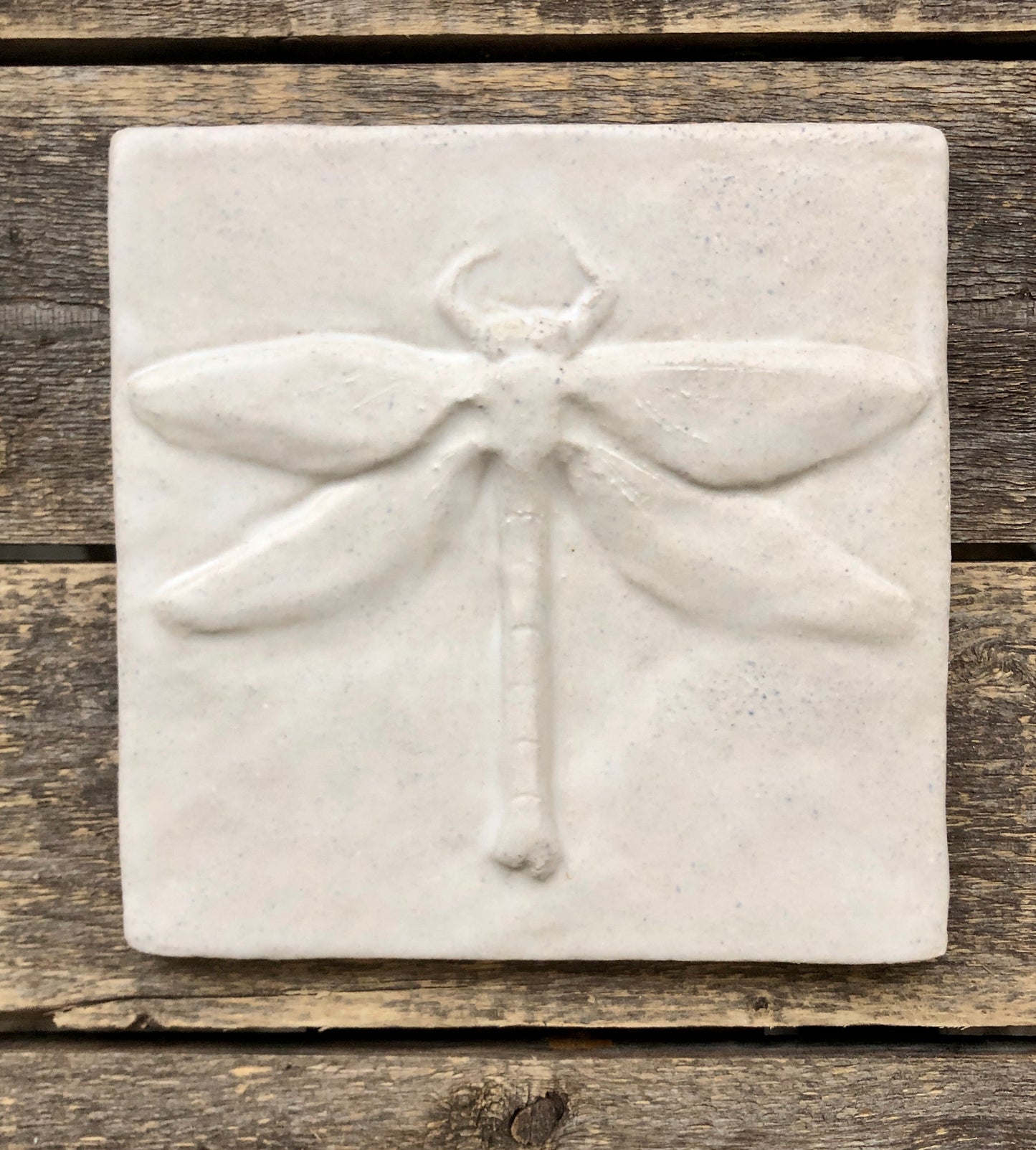 6”x 6” Dragonfly vertical