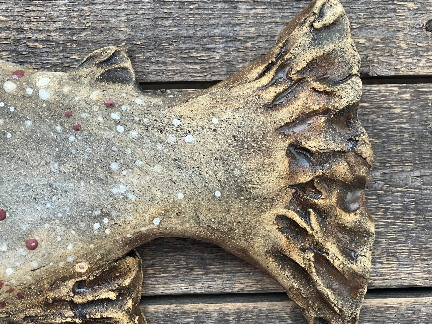 16” x 8” Brown Trout Sculpted Sign
