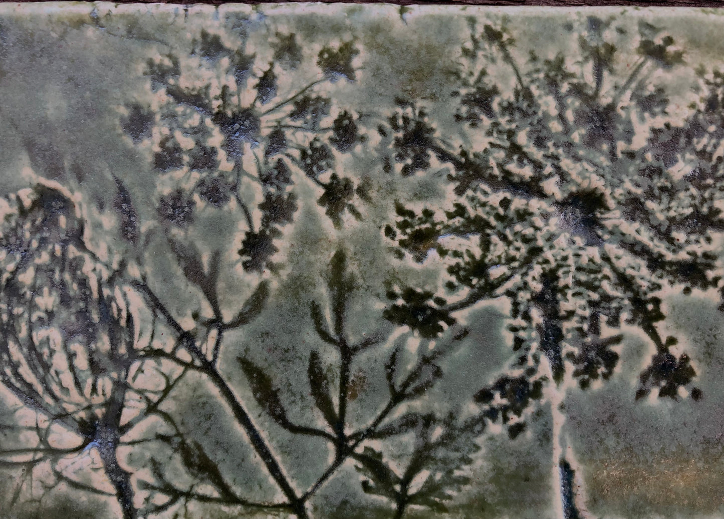 4”x 4” Queen Anne’s Lace