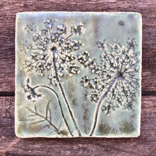 4”x 4” Queen Anne’s Lace