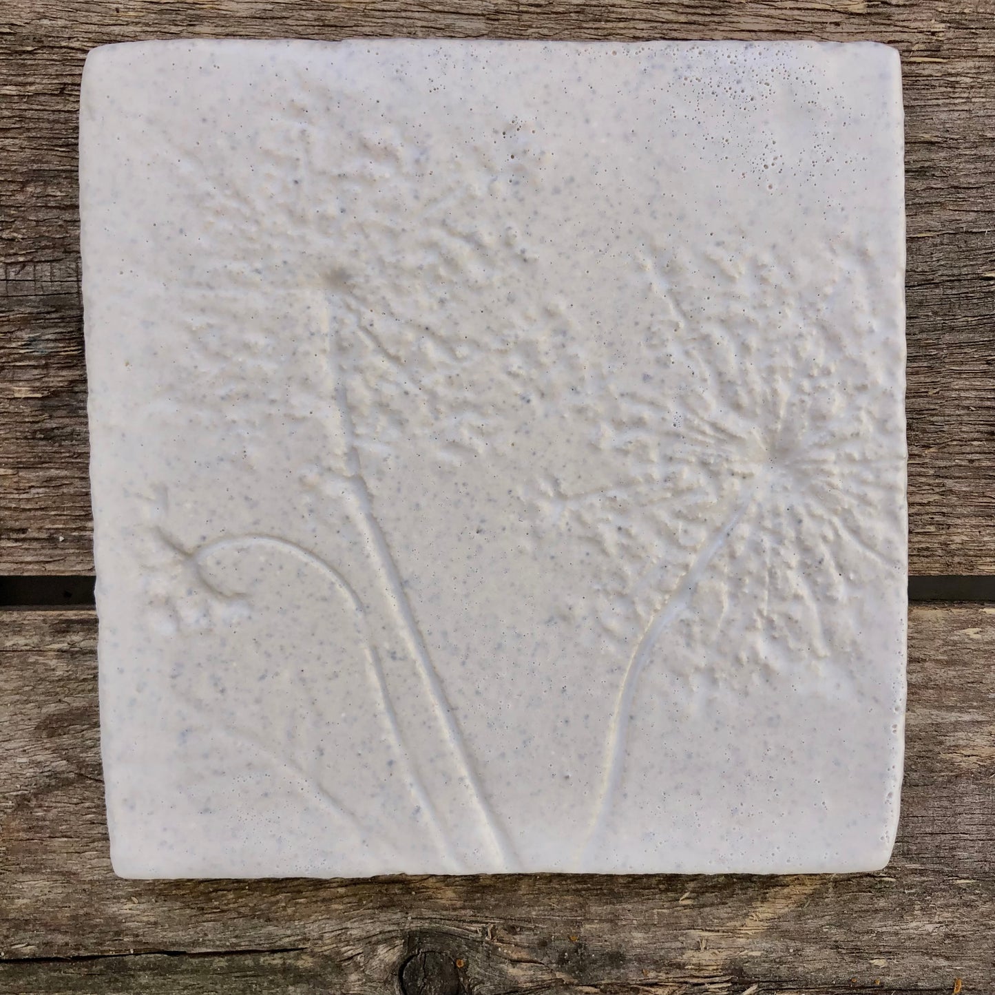 4”x 4” Queen Anne’s Lace